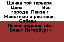 Щенки той терьера › Цена ­ 10 000 - Все города, Пенза г. Животные и растения » Собаки   . Ленинградская обл.,Санкт-Петербург г.